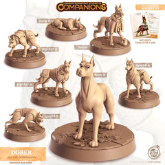 Dober - dnd Doberman Pinscher mini - Cast N Play | Dog | Hound | Wizard Familiar | Animal Companion, Ranger, Druid Form, Guard, Fighter-1