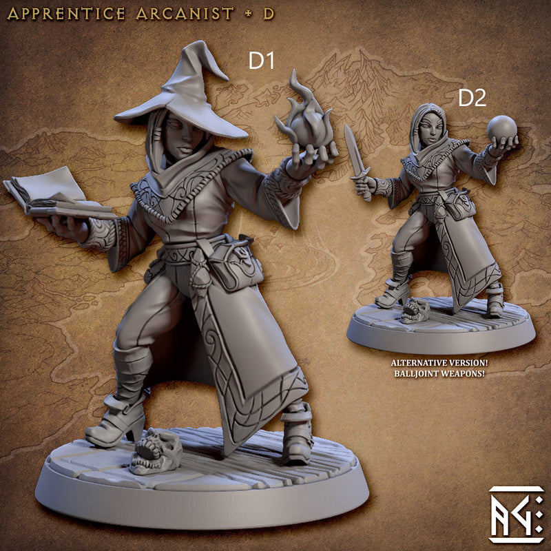 Apprentice Arcanists - Artisan Guild | Human | Elf | Wizard | Sorcerer | Warlock | Male | Female | Fantasy | Magic | DnD | Pathfinder-5