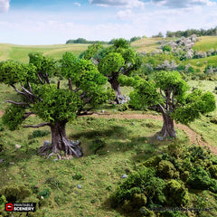 Oak Trees - King and Country, DnD, Pathfinder, 15mm, 28mm, 32mm, wargaming terrain, scenery D&D, medieval village, nature, forest, town-2