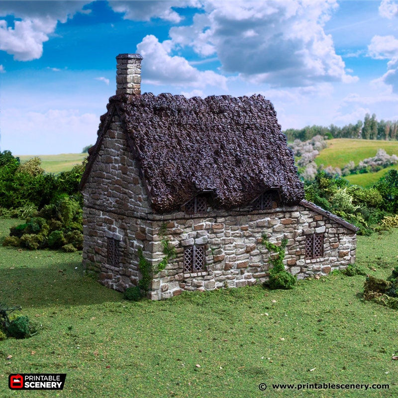 Crow Cottage - King and Country, DnD, Pathfinder, 15mm, 28mm, 32mm, wargaming terrain, scenery D&D, medieval village, house, home, town-2