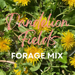 "Dandelion Fields" Hay Topper-1