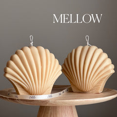 Large Seashell Soy Wax Candle | Unique Home Decor-4