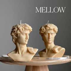 Michelangelo's David Head Candle | Soy Wax Bust Statue Candle-4
