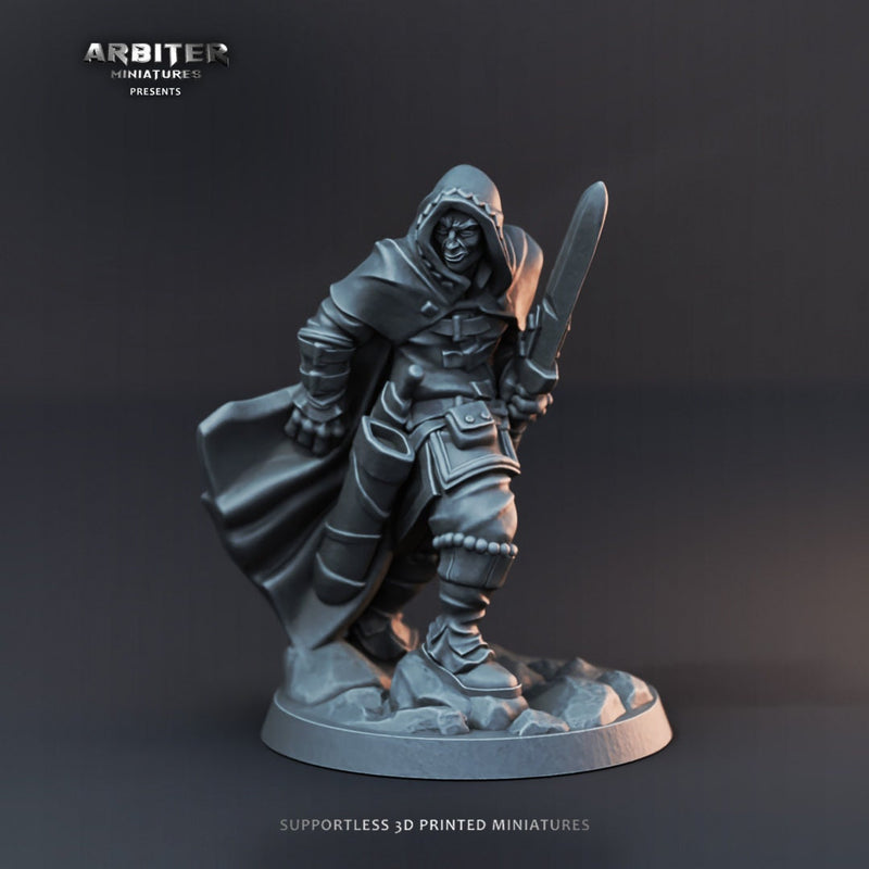 DnD Miniature Party Set 5 - 28mm Adventuring Group - Paladin | Monk | Sorcerer | Bard | Barbarian | Pathfinder-7