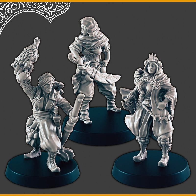 Desert Heroes - DND mini - EC3D Scorching Sands, Desert Miniatures | Human | Inn | Eastern | Female | Male | Rogue | Fighter | Ranger-1