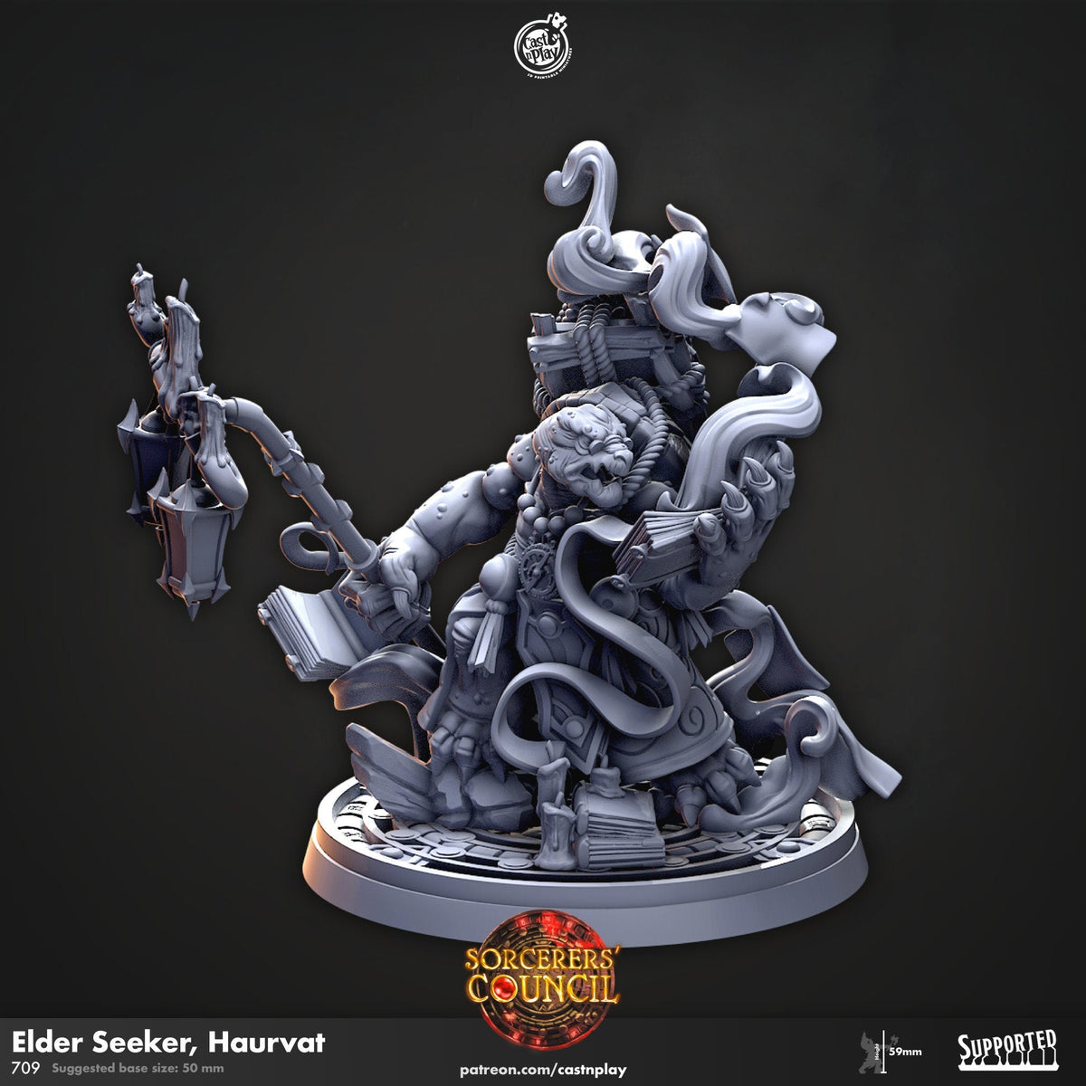 Elder Seeker Haurvat - dnd and wargaming miniature - Tortle, Tortollen, Sorcerer, Wizard, Warlock, Male, Sorcerer's Council, Tortanian-1