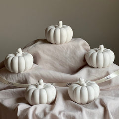Handmade Jesmonite Pumpkin Decor | Autumn Decoration-1