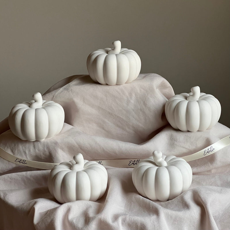 Handmade Jesmonite Pumpkin Decor | Autumn Decoration-1
