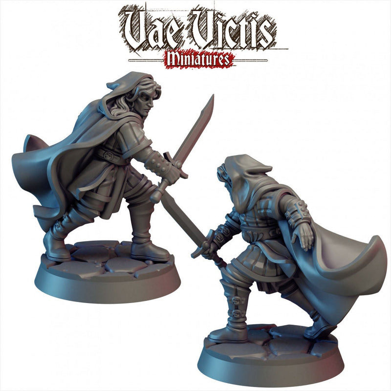 Elf Swordsman Mini - Vae Victis, DnD | Male | Fighter | Barbarian | 28mm | Pathfinder | Fantasy | Wargaming | Rogue | Elven | Drow-1
