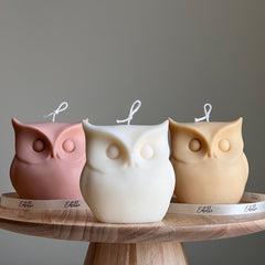 Sculptural Owl Candle | Vegan Soy Wax, Autumn Home Decor-1