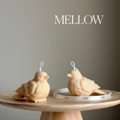 Handmade Bird Soy Candle | Home Decor-4