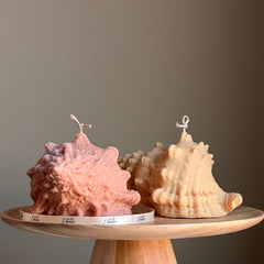 Large Seashell Soy Wax Candle: Unique Home Decor-2