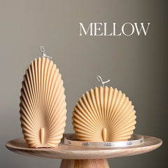Sea Shell Candle Duo: Decorative Soy Wax Clam Shell Candles-4