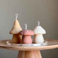 Mushroom Candle Set | Soy Wax Home Decor-1