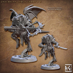Draconic Shock Troops mini set- Artisan Guild | Dragon | Dragonkin | Dragonborn | Fighter | Barbarian | Ranger | Pathfinder | Wargaming 32mm-7
