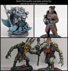 Gladiators mini Set - Vae Victis | DnD | Elf | Tabaxi | Goliath | Human | Arena | Fighter | Pathfinder |  Assassin | Wargaming-8