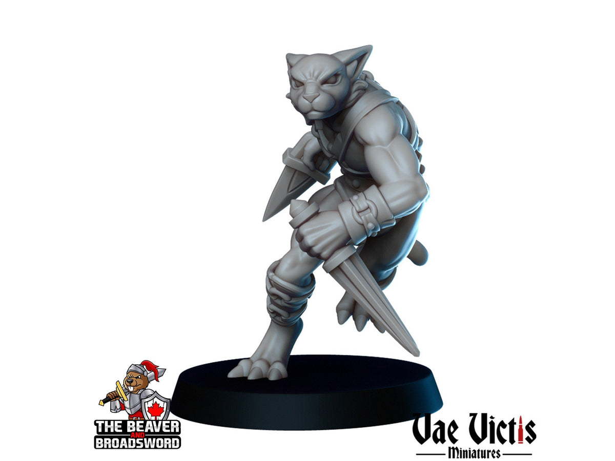 Gladiators mini Set - Vae Victis | DnD | Elf | Tabaxi | Goliath | Human | Arena | Fighter | Pathfinder |  Assassin | Wargaming-4