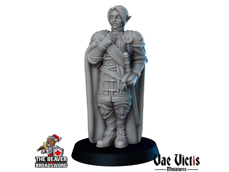 Royals Mini Set - Vae Victis | DnD | Human | King | Queen | Princess | Jester | Nobles | Villagers |  Townfolk | Wargaming | Pathfinder-5