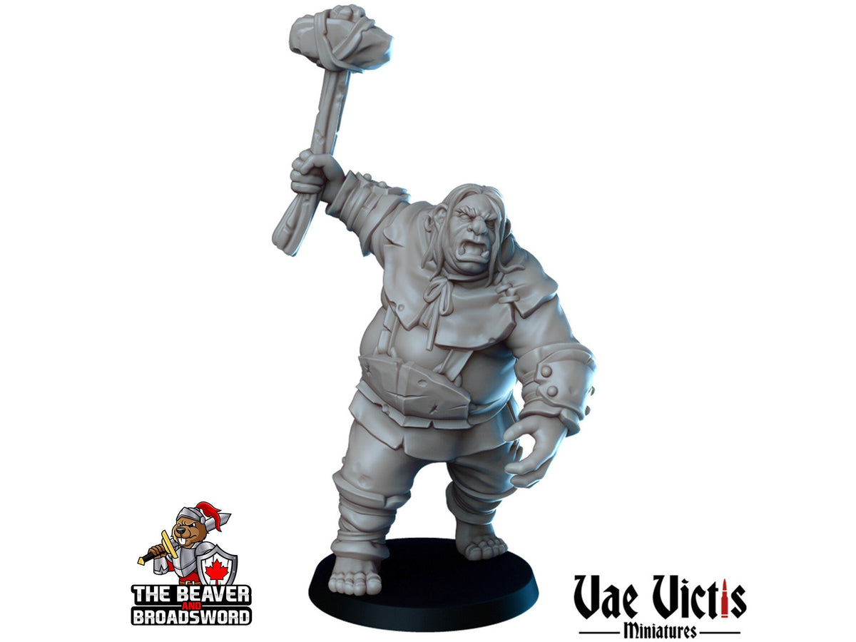 The Bandit Ambush DnD Mini Set - Vae Victis | Elf | Tabaxi | Ogre | Merchant | Thief | Thug | Bundle | Adventurer | Wargaming | Pathfinder-2