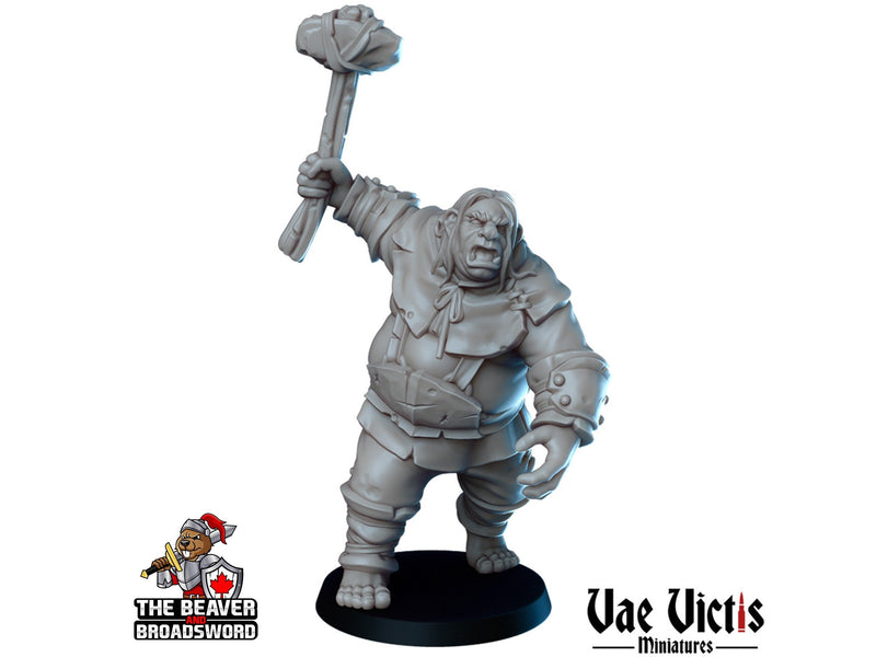 The Bandit Ambush DnD Mini Set - Vae Victis | Elf | Tabaxi | Ogre | Merchant | Thief | Thug | Bundle | Adventurer | Wargaming | Pathfinder-2