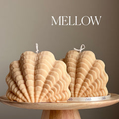 Huge Clam Shell Candle: Decorative Vegan Soy Wax Candle-4