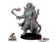 Clerics Mini Set - Vae Victis | Human | Elf | Human | Dwarf | Paladin | Bundle | Male | Female |  Wargaming | Pathfinder | Fighter-3