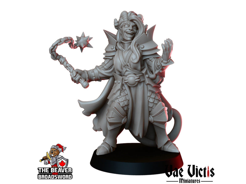 Clerics Mini Set - Vae Victis | Human | Elf | Human | Dwarf | Paladin | Bundle | Male | Female |  Wargaming | Pathfinder | Fighter-3