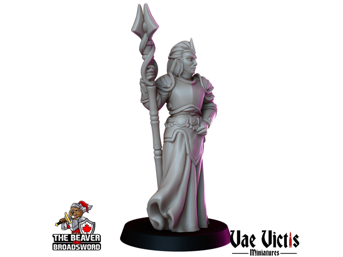 Clerics Mini Set - Vae Victis | Human | Elf | Human | Dwarf | Paladin | Bundle | Male | Female |  Wargaming | Pathfinder | Fighter-5