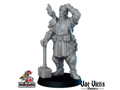 Clerics Mini Set - Vae Victis | Human | Elf | Human | Dwarf | Paladin | Bundle | Male | Female |  Wargaming | Pathfinder | Fighter-2