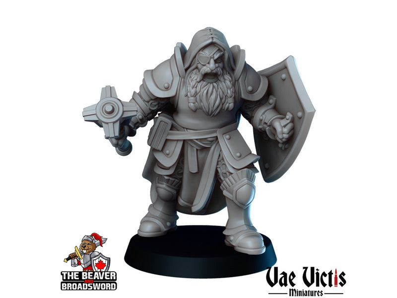 Clerics Mini Set - Vae Victis | Human | Elf | Human | Dwarf | Paladin | Bundle | Male | Female |  Wargaming | Pathfinder | Fighter-6
