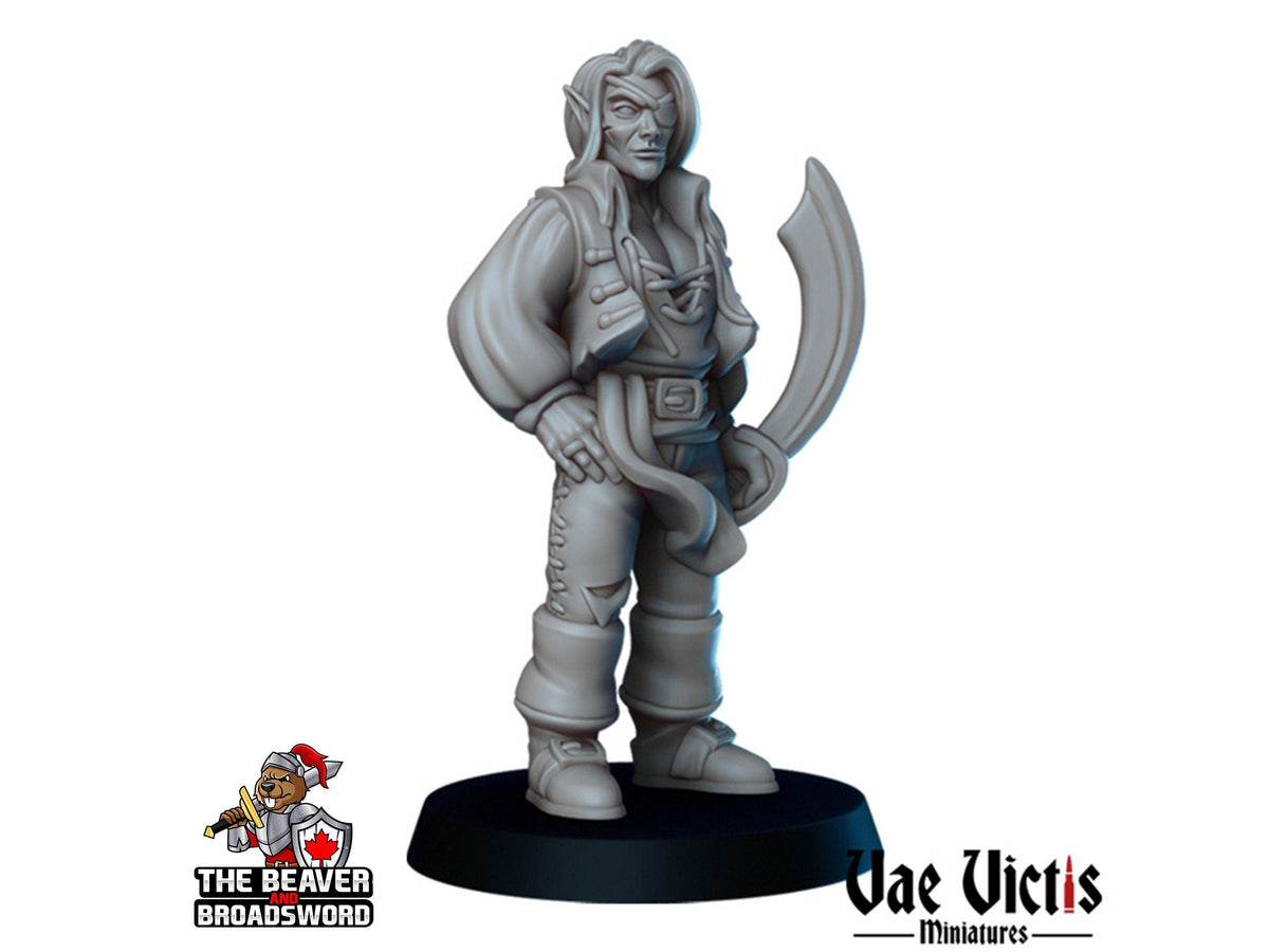 Pirates mini Set - Vae Victis | DnD | Elf | Tabaxi | Dwarf | Human | Thief | Ship | Pathfinder |  Corsair | Anchor | Captain | Pirate-2