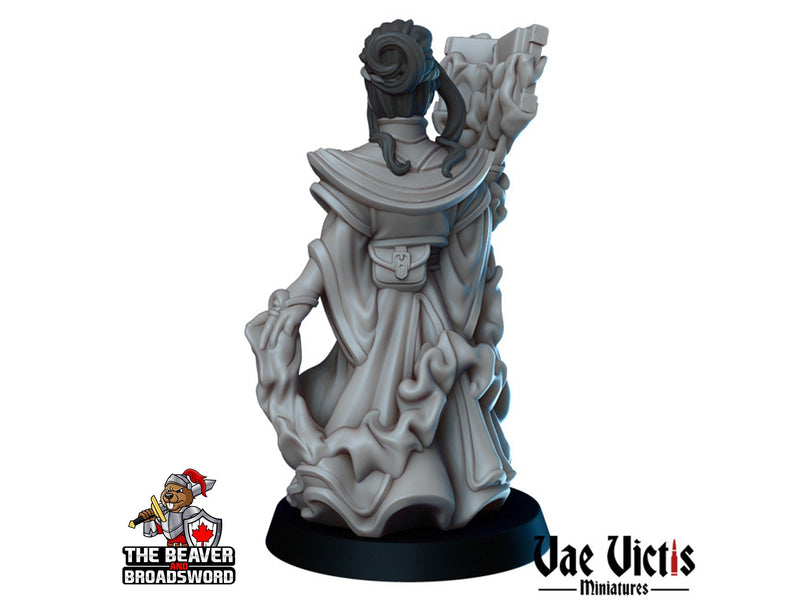 Female Human Wizard dnd mini - Vae Victis | Sorcerer | Warlock | Hero | PC | Alchemist | City | Player | Magician | Pathfinder | Magic Epic-2