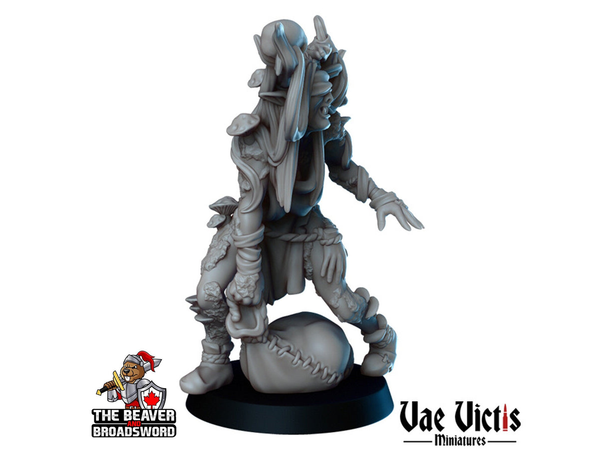 Swamp Hag witch mini - Vae Victis | DnD | Evil | enemy | Sorceress | Curse | Swamp | Bundle | Gothic | Merchant | Wargaming | Pathfinder-2