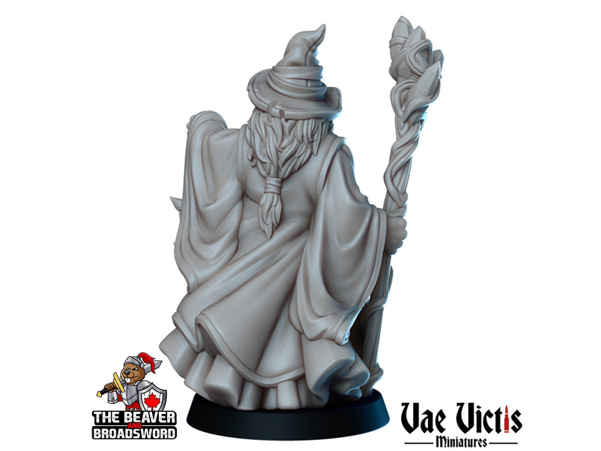 Old Human Wizard dnd mini - Vae Victis | Sorcerer | Warlock | Hero | PC | Alchemist | City | Player | Magician | Pathfinder | Magic | Epic-2