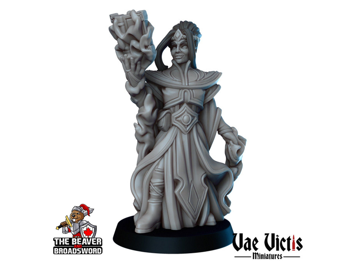 Female Human Wizard dnd mini - Vae Victis | Sorcerer | Warlock | Hero | PC | Alchemist | City | Player | Magician | Pathfinder | Magic Epic-1