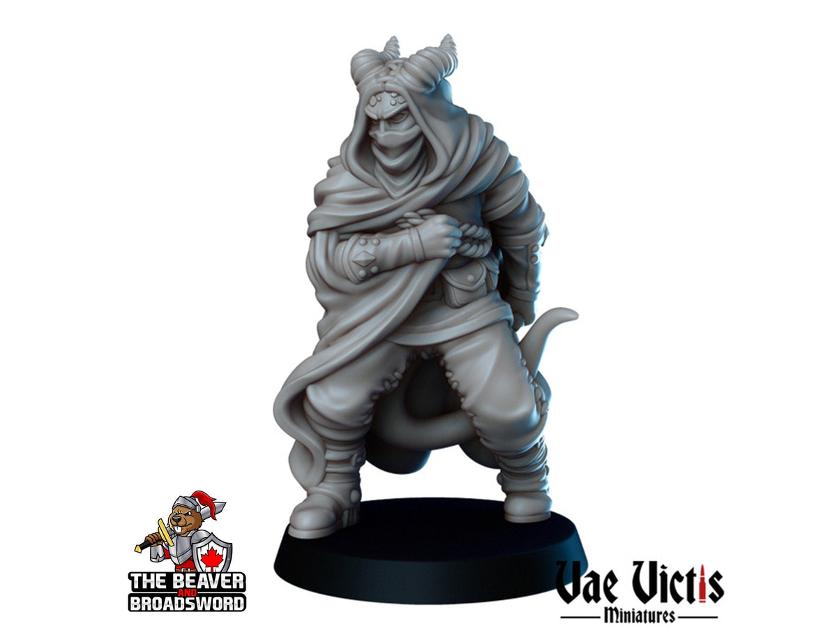 Tiefling Assassin DnD mini - Vae Victis | Rogue | Thief | Male | PC | Dagger | Hero | Medieval | Cloaked | Poison | NPC | Fantasy-1
