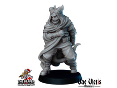 Tiefling Assassin DnD mini - Vae Victis | Rogue | Thief | Male | PC | Dagger | Hero | Medieval | Cloaked | Poison | NPC | Fantasy-1