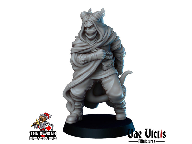 Tiefling Assassin DnD mini - Vae Victis | Rogue | Thief | Male | PC | Dagger | Hero | Medieval | Cloaked | Poison | NPC | Fantasy-1