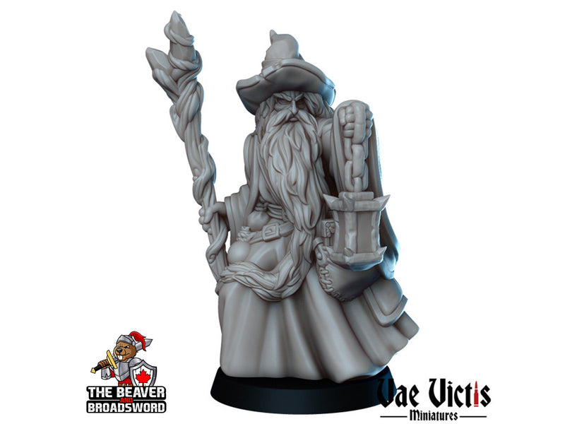 Old Human Wizard dnd mini - Vae Victis | Sorcerer | Warlock | Hero | PC | Alchemist | City | Player | Magician | Pathfinder | Magic | Epic-1