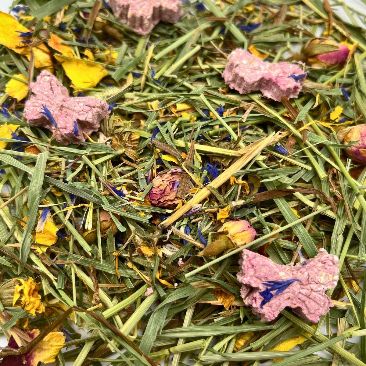 Spring Fling Forage Mix-3