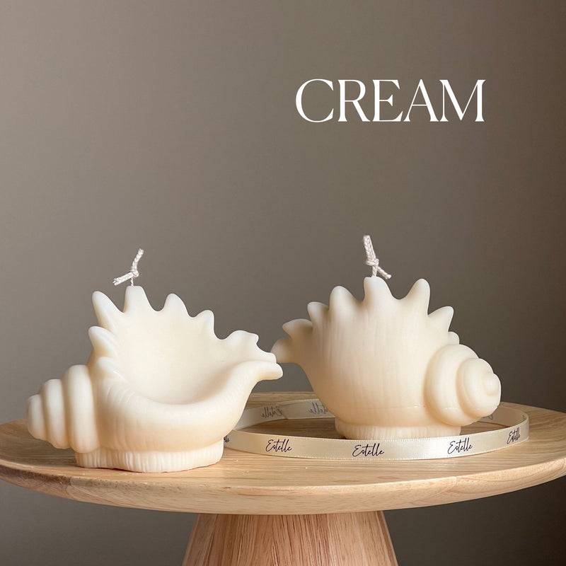 Sea Shell Soy Candle: Decorative Clam Shell, Unique Vegan Gift-3