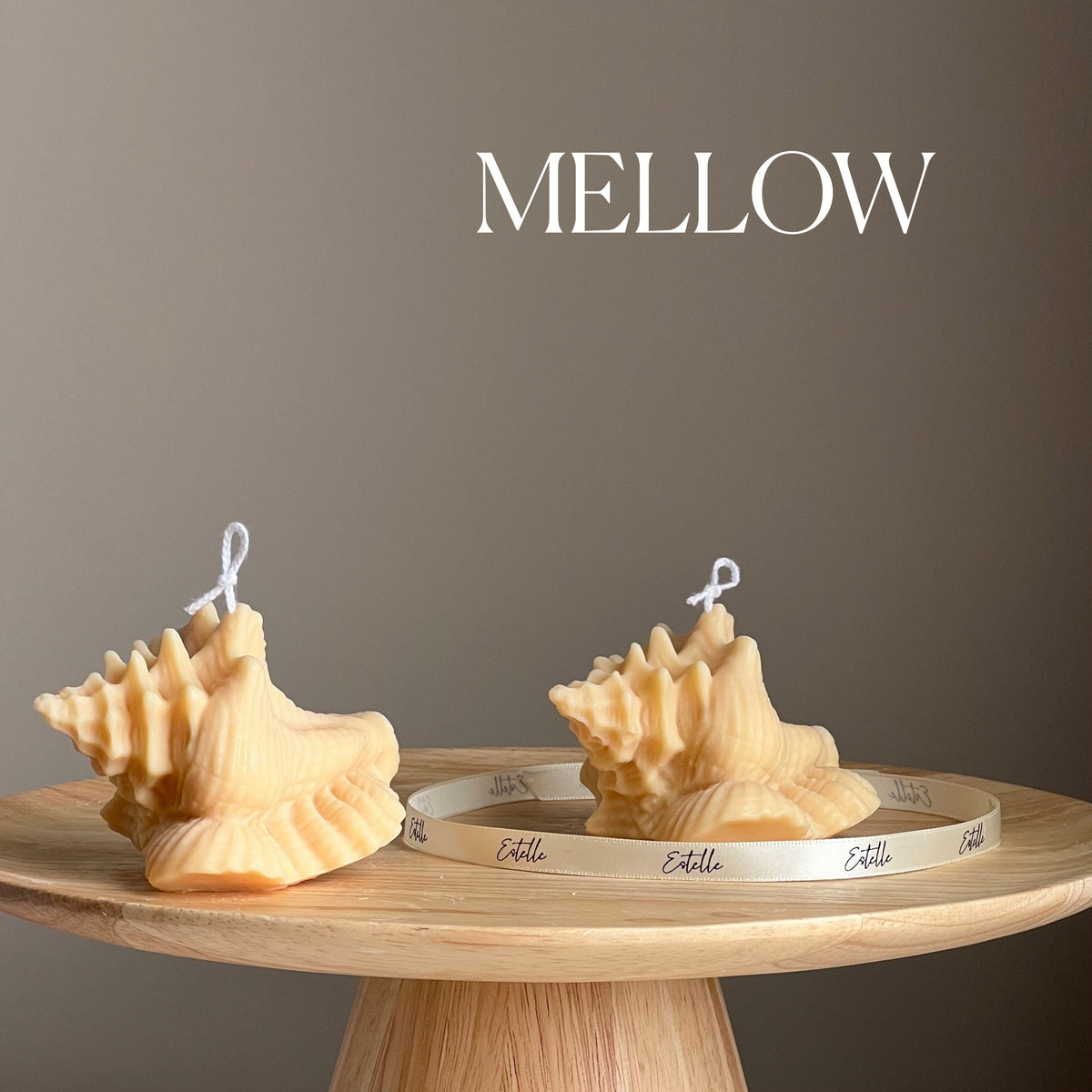 Clam Shell Soy Candle | Decorative Sea Shell-4