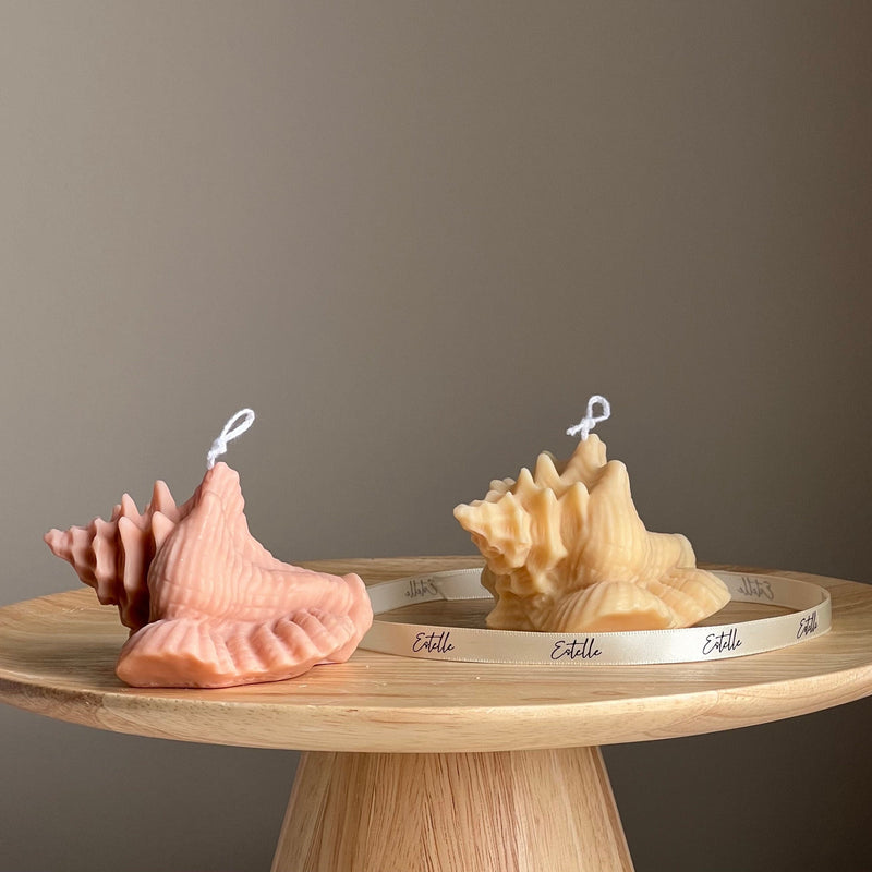 Clam Shell Soy Candle | Decorative Sea Shell-1