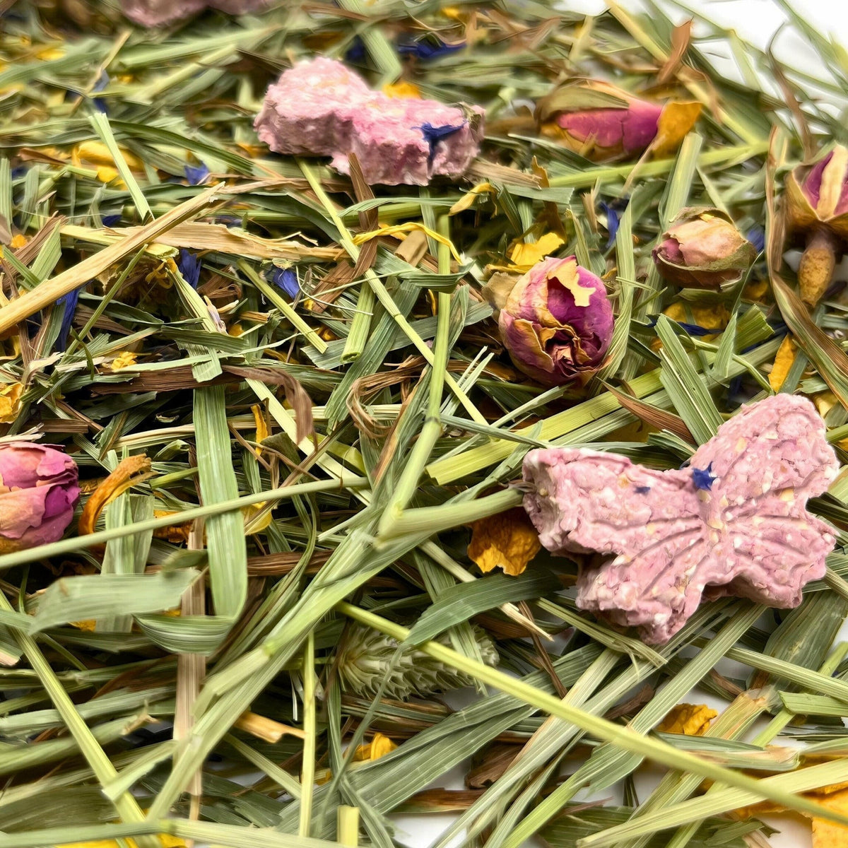 Spring Fling Forage Mix-2