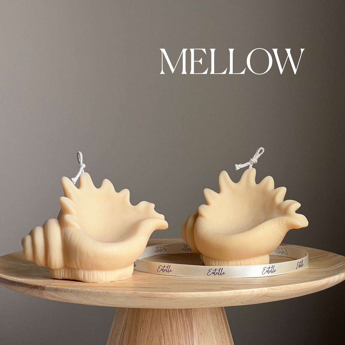 Sea Shell Soy Candle: Decorative Clam Shell, Unique Vegan Gift-4