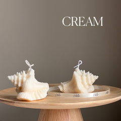 Clam Shell Soy Candle | Decorative Sea Shell-3