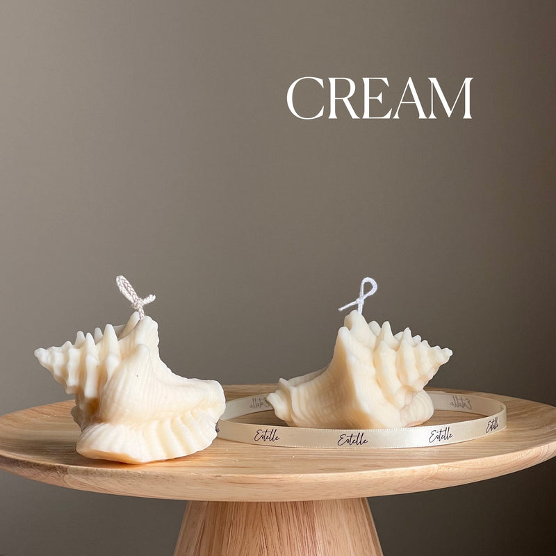 Clam Shell Soy Candle | Decorative Sea Shell-3