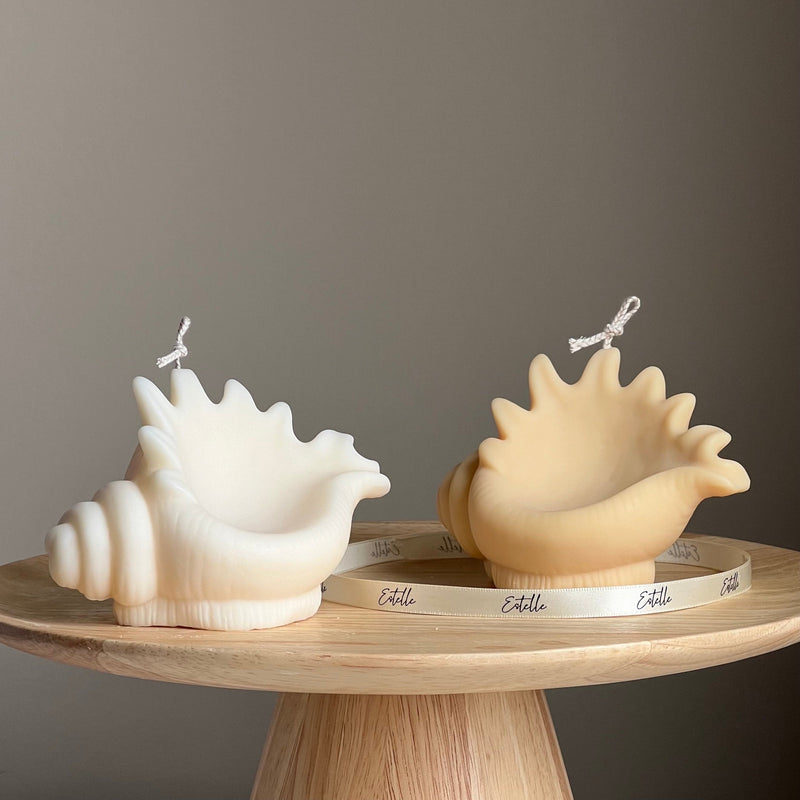 Sea Shell Soy Candle: Decorative Clam Shell, Unique Vegan Gift-1