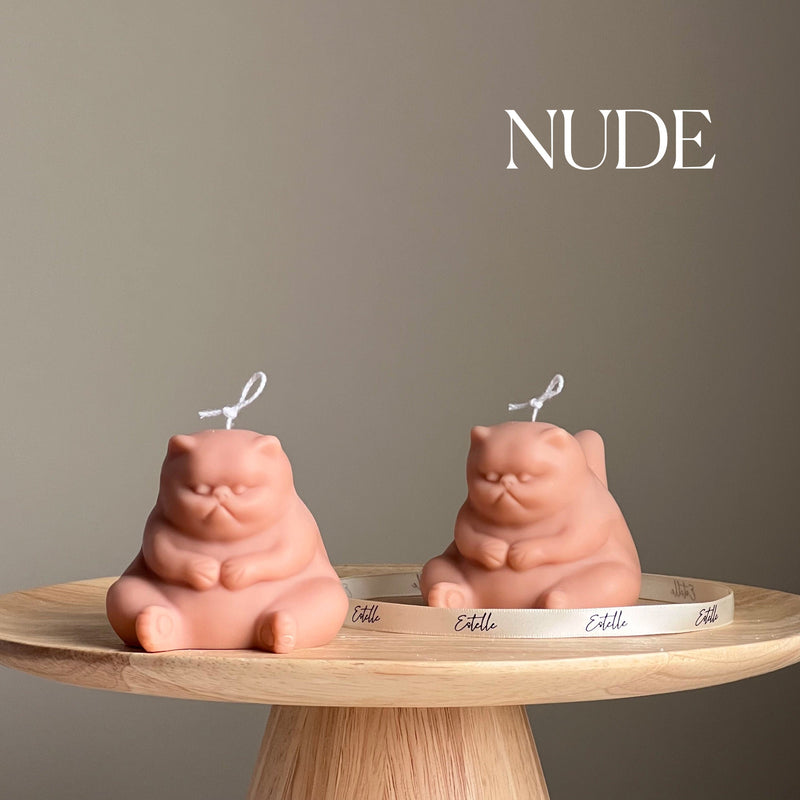 Handmade Grumpy Cat Candle: Decorative Soy Wax Pillar Candle-2