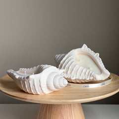 Conch Shell Soy Wax Candle | Jesmonite Container, Handmade-1